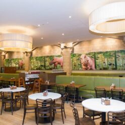 Natural History Museum T. rex Restaurant