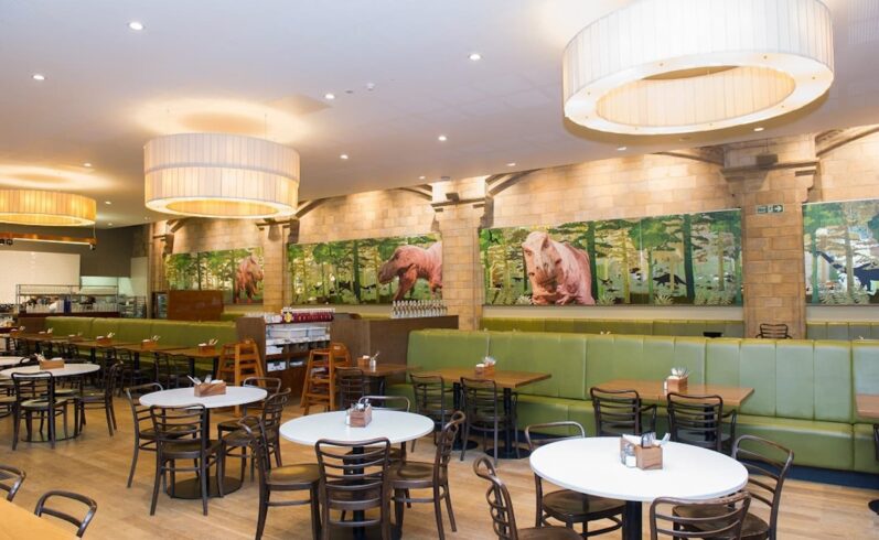 Natural History Museum T. rex Restaurant