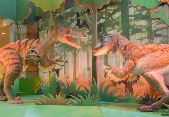 Dinosaurs at the Natural History Museum