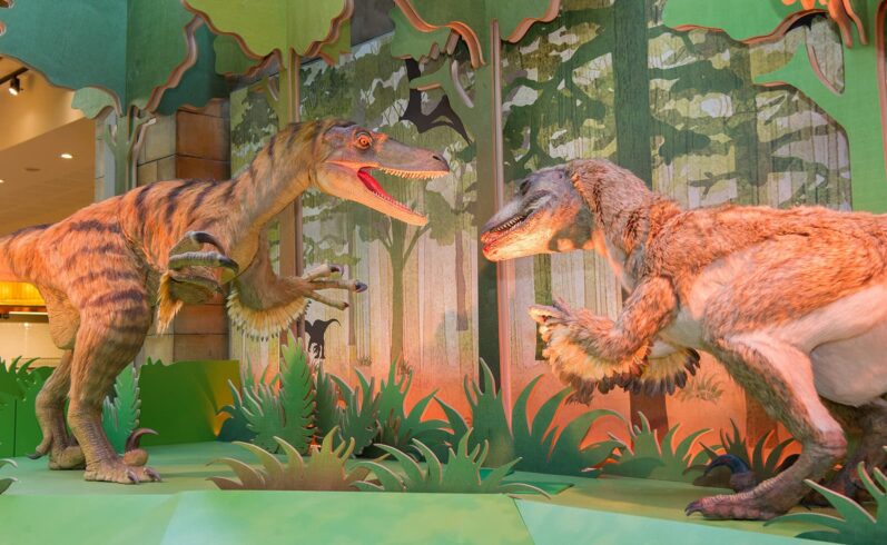 Dinosaurs at the Natural History Museum