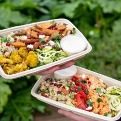 Close up photo of salad trays